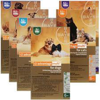 advantage multi (advocate) - flea & tick control